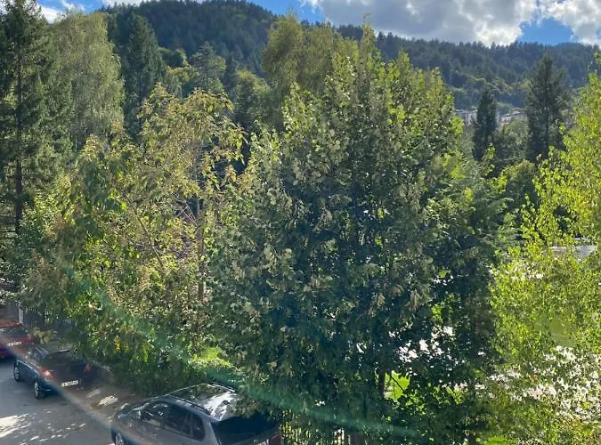 за гости Devin